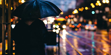 帕尔梅拉斯伤病恢复进展顺利，期待发挥